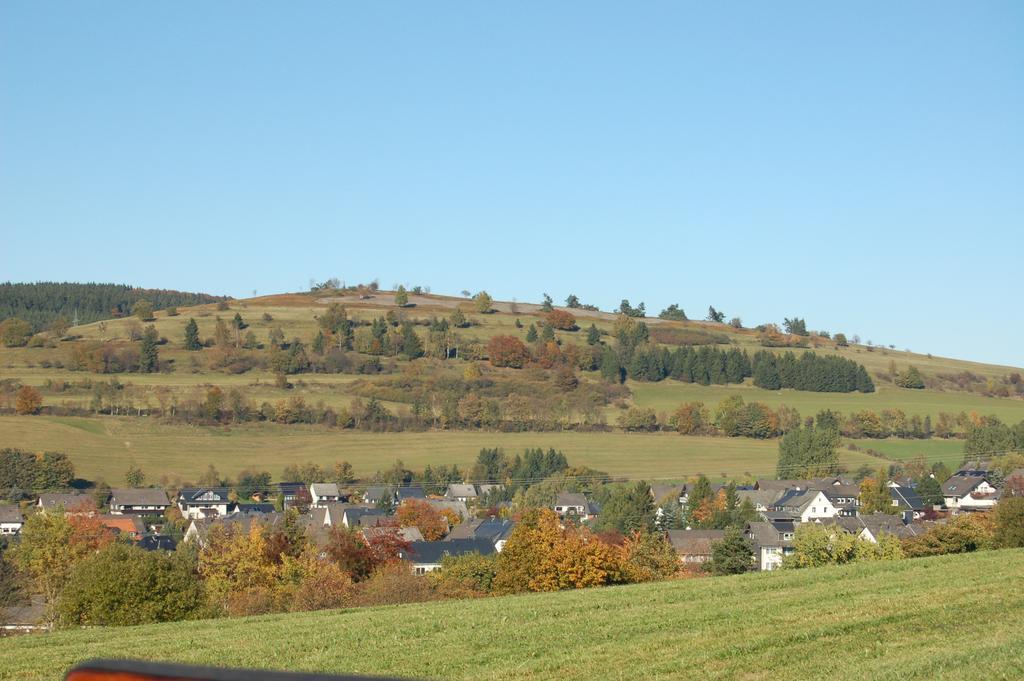 Westfalenhof Garni Виллинген Экстерьер фото