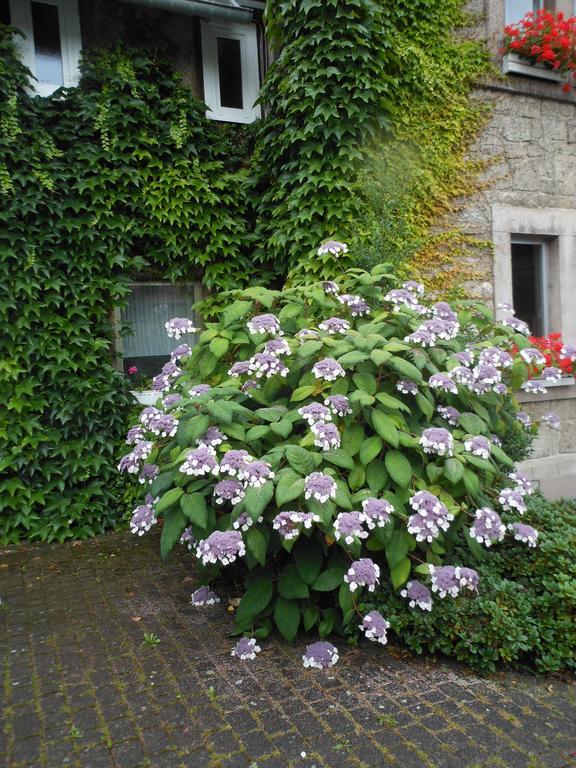 Westfalenhof Garni Виллинген Экстерьер фото
